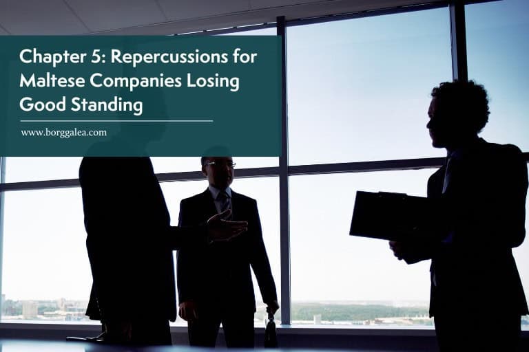 Chapter 5: Company Struck Off Due to Loss of Good Standing